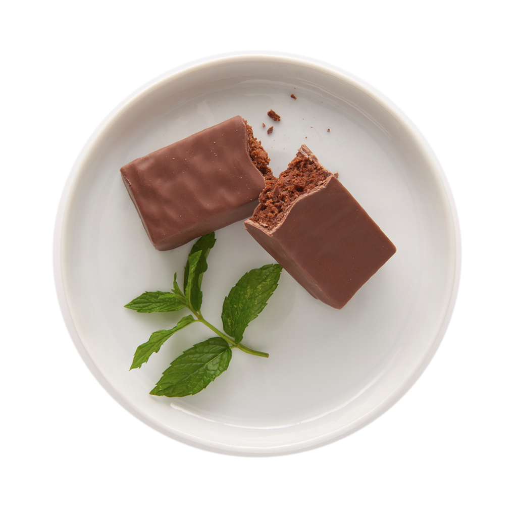 MINT CHOCOLATE PROTEIN BARS